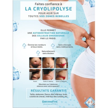 Cryolipolyse 2 têtes simultanées version 2.9 optimisée