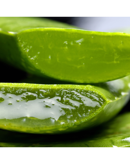 Aloe Vera gel 200% - 1000ml