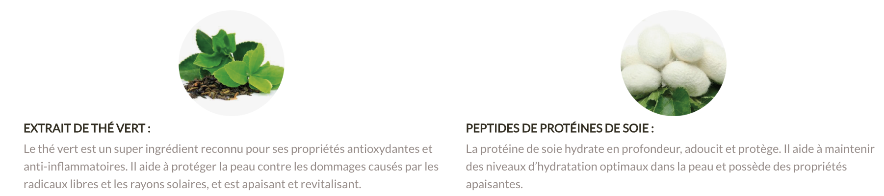 ACTIFS%203%20EN%201%20NETTOYANT.png