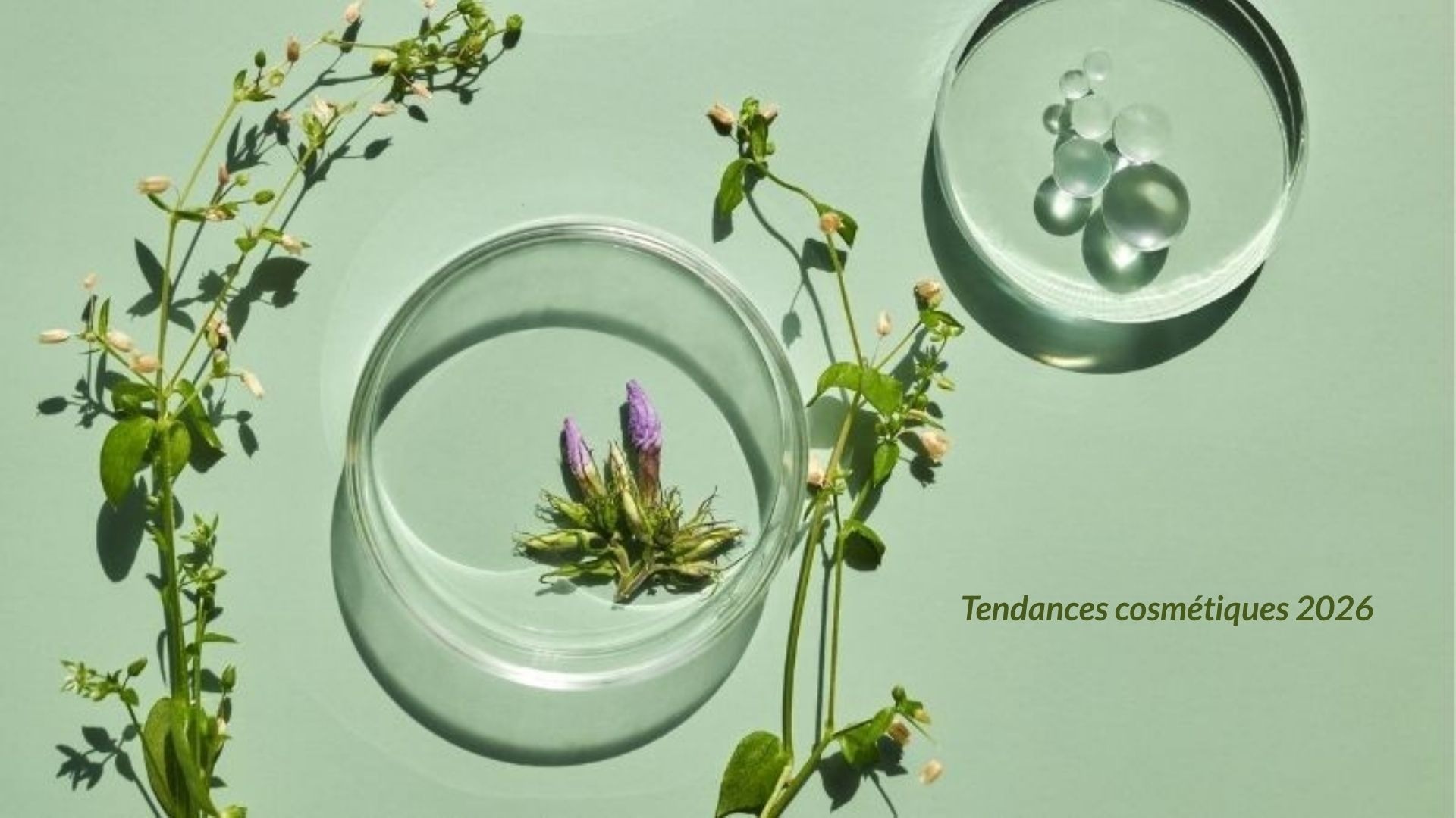 Tendances cosmétiques 2026